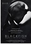 Kinoplakat Blackfish