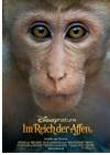 Kinoplakat Im Reich der Affen