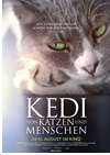 Kinoplakat Kedi