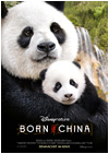 Kinoplakat Born in China