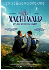 Kinoplakat Nachtwald