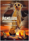 Kinoplakat Pambara